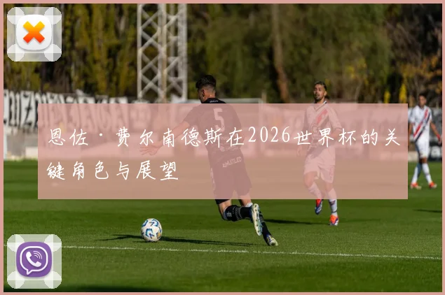 恩佐·费尔南德斯在2026世界杯的关键角色与展望