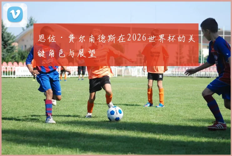 恩佐·费尔南德斯在2026世界杯的关键角色与展望